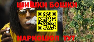 СК Дубна