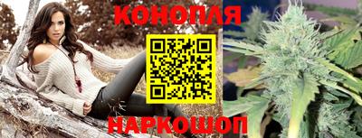 сатива Апрелевка