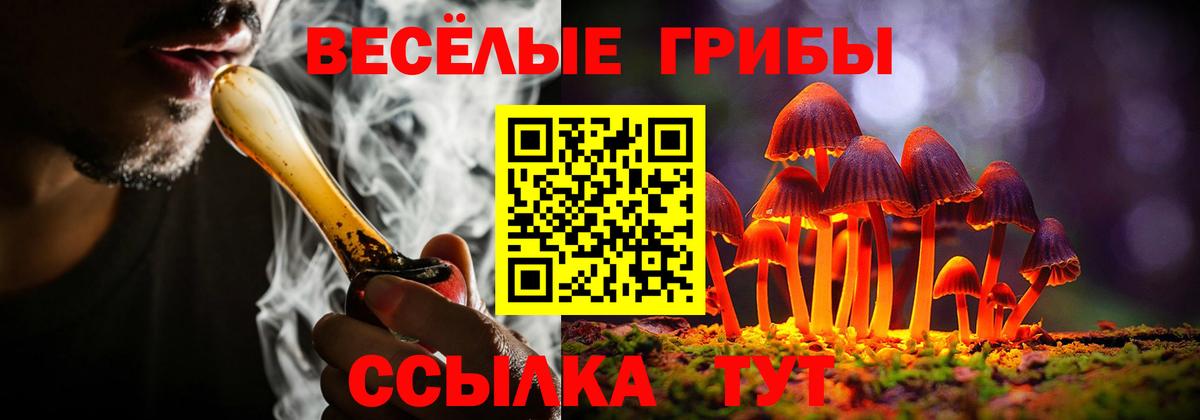 Галлюциногенные грибы GOLDEN TEACHER  Вход с VPN  Будённовск 